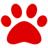 Animals & Pets