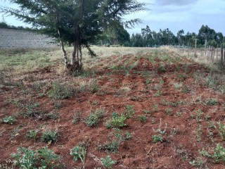 Two acres for sale