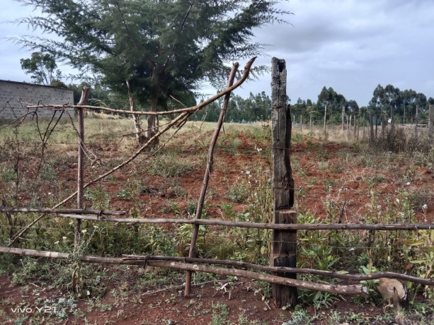 two-acres-for-sale-big-1