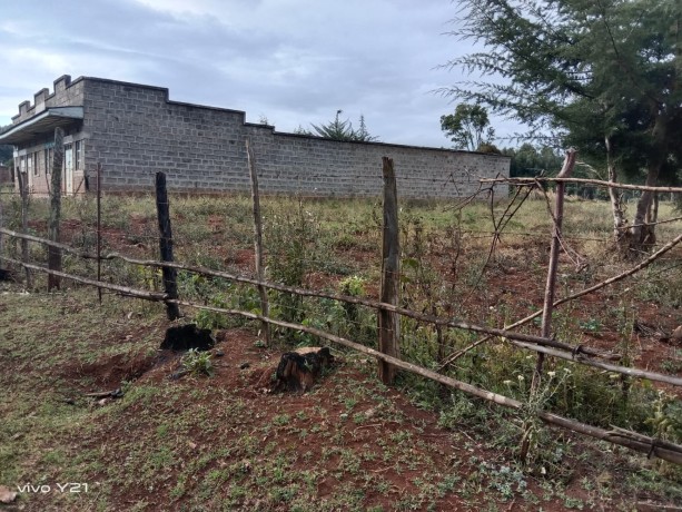 two-acres-for-sale-big-2