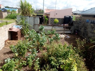 Plot for sale