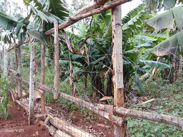 residential-plot-for-sale-big-1