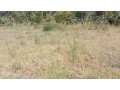 plot-for-sale-small-1