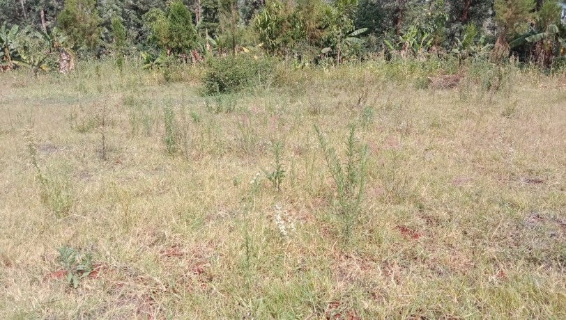 plot-for-sale-big-1