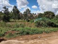 11acre-for-sale-small-1