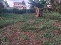 plot-for-sale-small-0