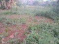 plot-for-sale-small-1