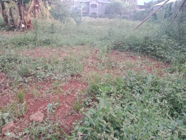plot-for-sale-big-1