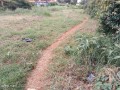 residential-plot-small-2