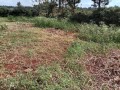 residential-plot-small-1