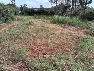 Residential plot