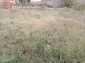 residential-plot-for-sale-small-1