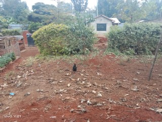 Commercial plot for sale