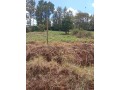plot-for-sale-small-0
