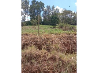 Plot for sale