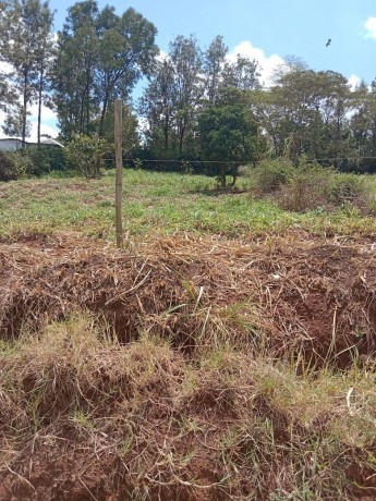plot-for-sale-big-0