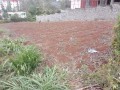 plot-for-sale-small-0