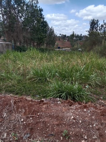 plot-for-sale-big-0