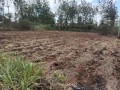 plot-for-sale-small-0