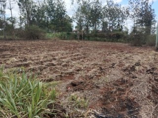 Plot for sale