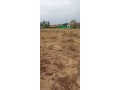 land-for-sale-small-0