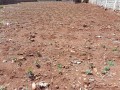 commercial-property-for-sale-small-0
