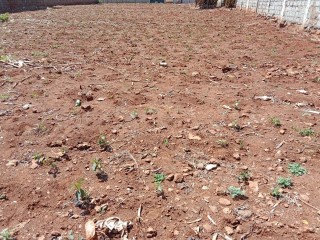 Commercial property for sale
