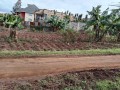 plot-for-sale-small-1