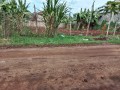 plot-for-sale-small-0