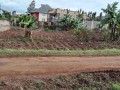plot-for-sale-small-2