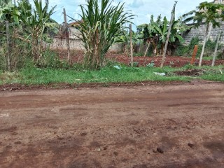 Plot for sale
