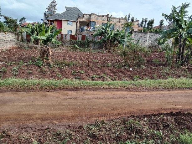 plot-for-sale-big-2