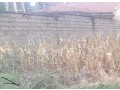 plot-for-sale-small-0