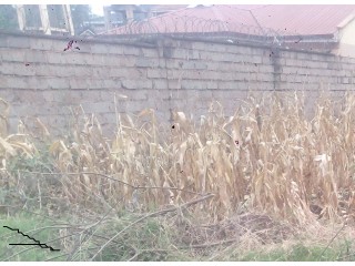 Plot for sale