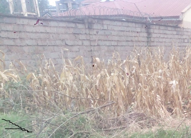 plot-for-sale-big-0
