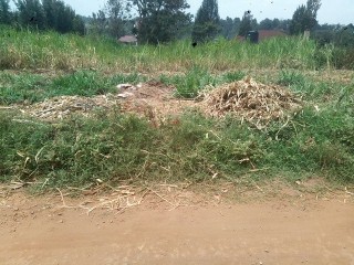 Plot for sale